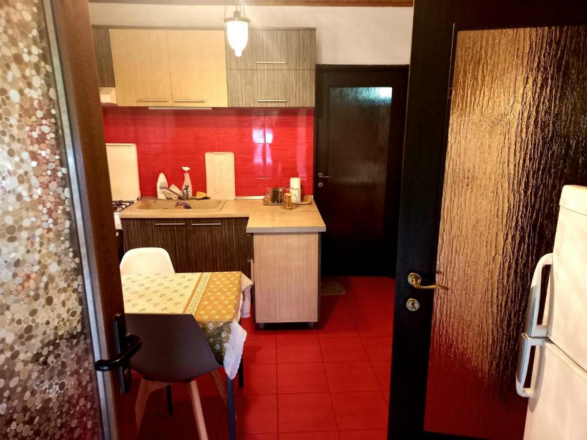 ホテル Casa Artemi Remeţi エクステリア 写真