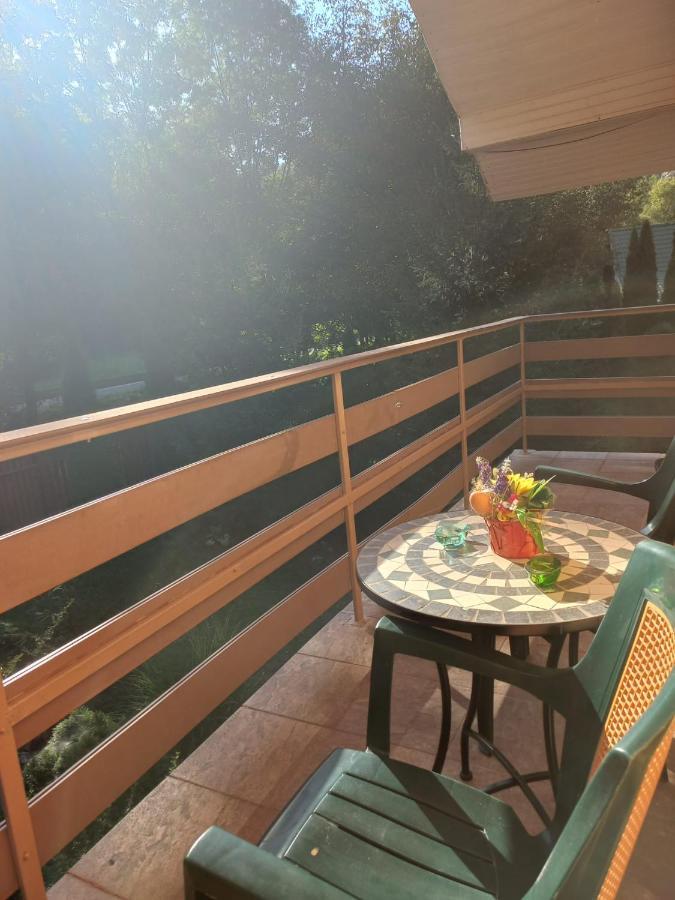 ホテル Casa Artemi Remeţi エクステリア 写真