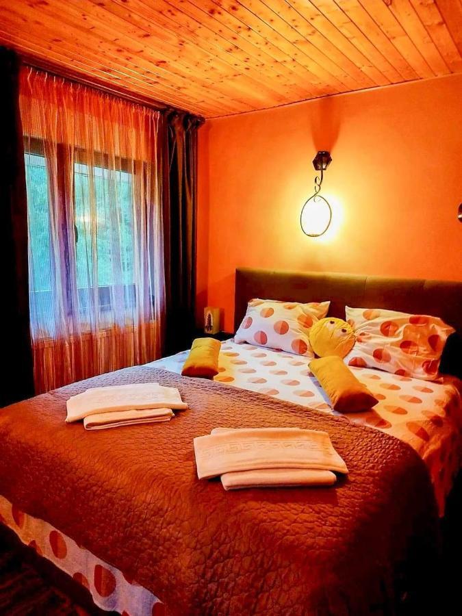 ホテル Casa Artemi Remeţi エクステリア 写真