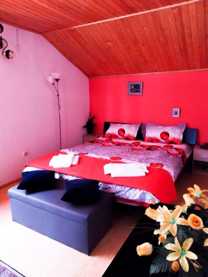 ホテル Casa Artemi Remeţi エクステリア 写真