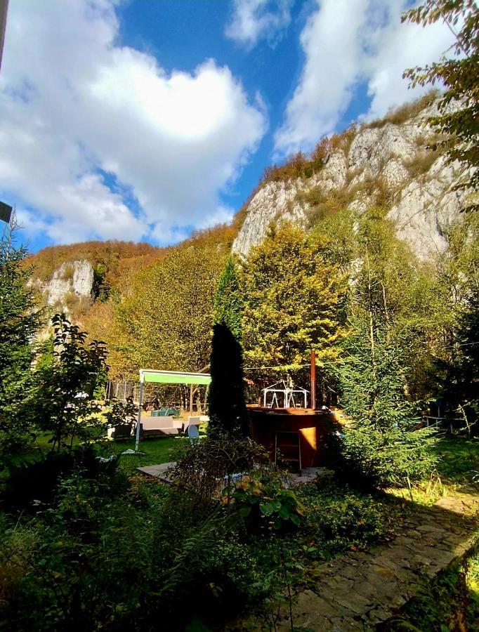 ホテル Casa Artemi Remeţi エクステリア 写真