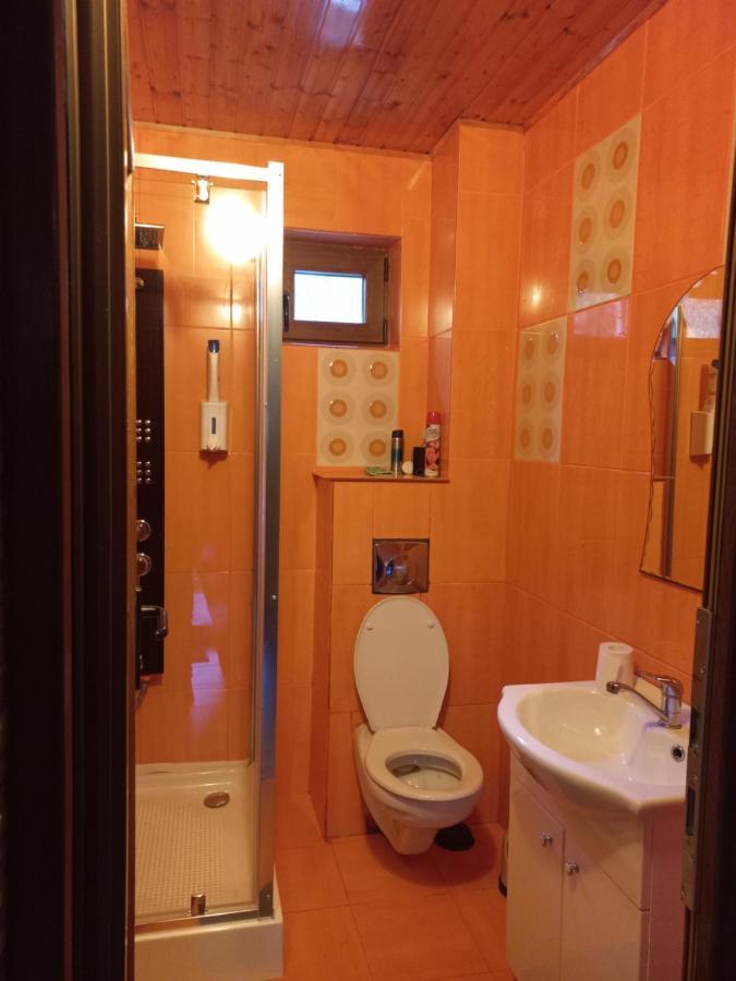 ホテル Casa Artemi Remeţi エクステリア 写真