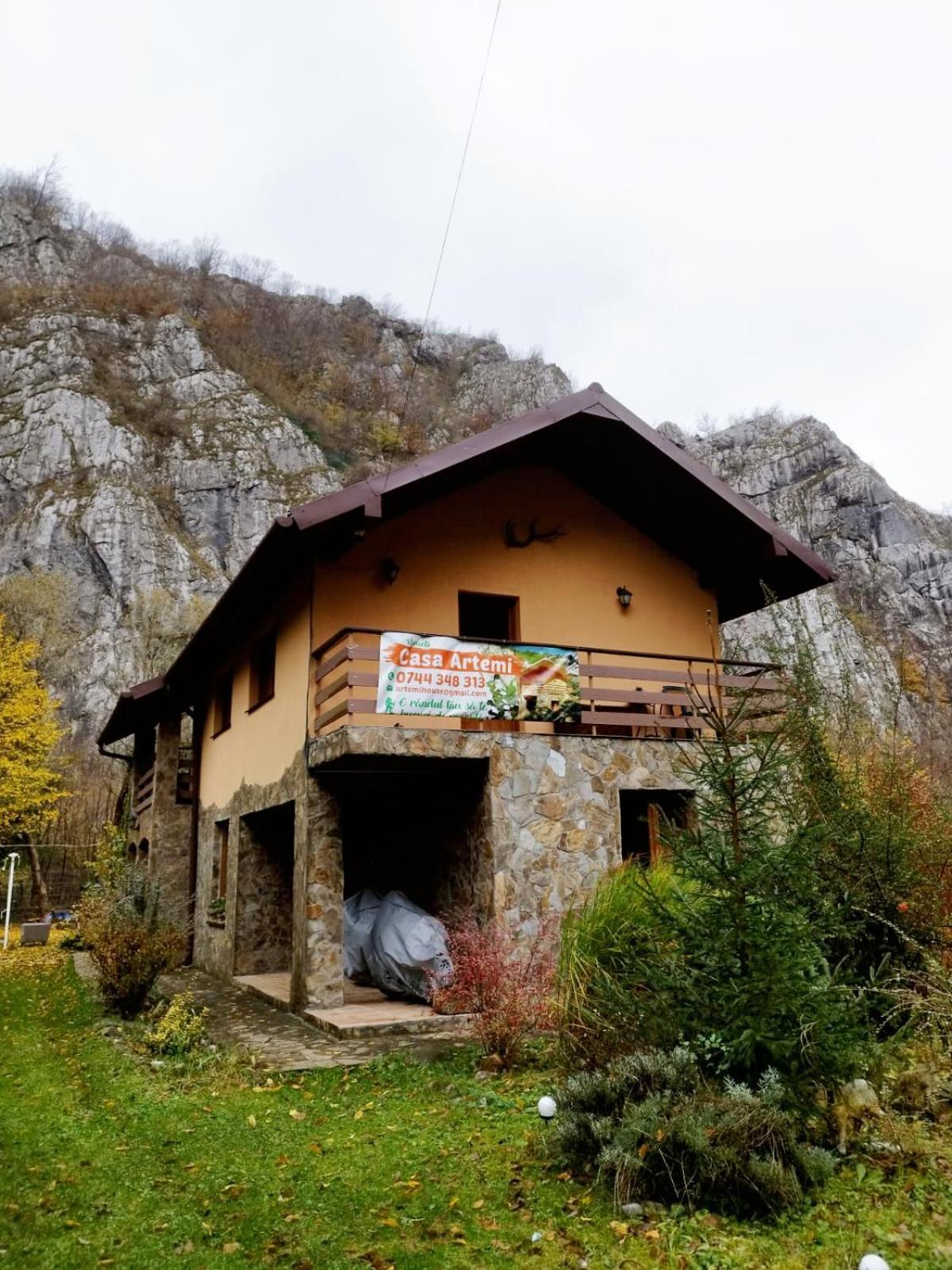 ホテル Casa Artemi Remeţi エクステリア 写真